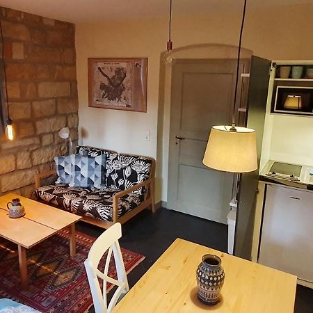 Villa Haniel Apartment Leo Dresde Extérieur photo